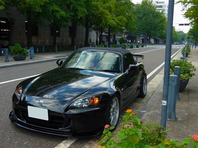 RIMG1287