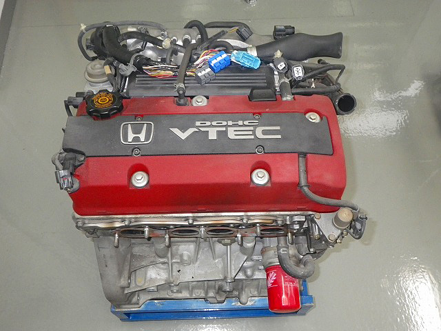 IMGP2244