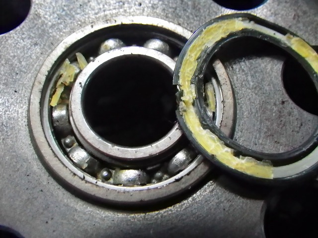 IMGP2580