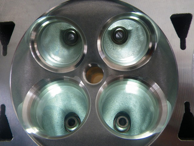 IMGP4119