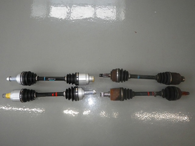IMGP5173