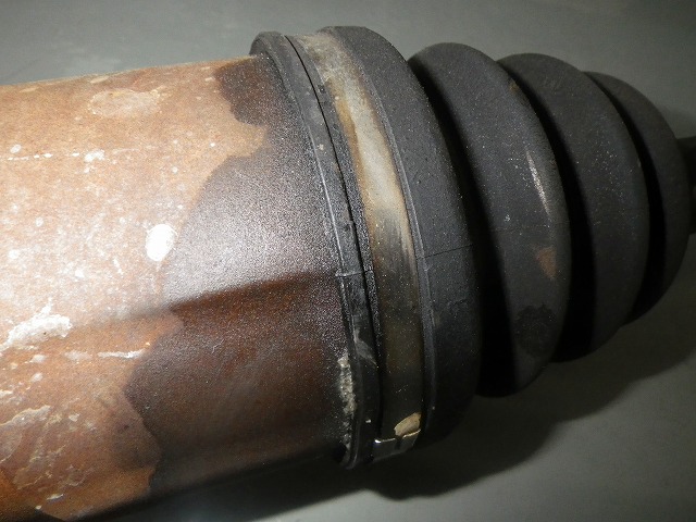 IMGP5174
