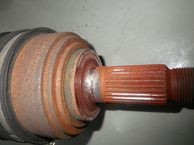IMGP5175