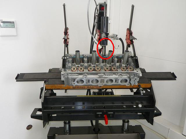 IMGP6728
