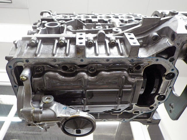 IMGP6795