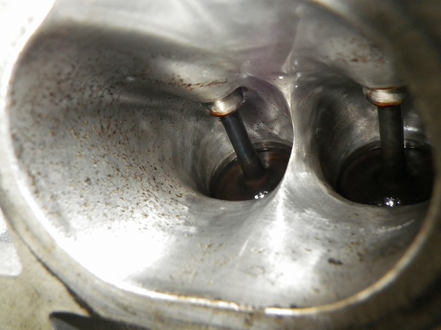 IMGP6817