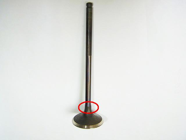RIMG0056