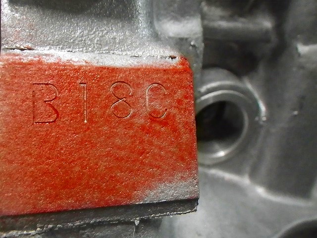 IMGP7466