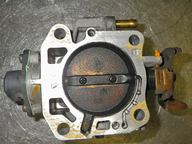 IMGP7896