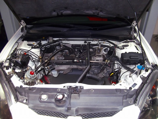 DSCF4006