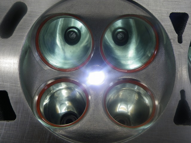IMGP5969