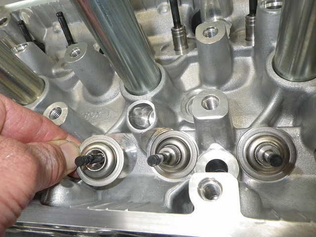 IMGP7644