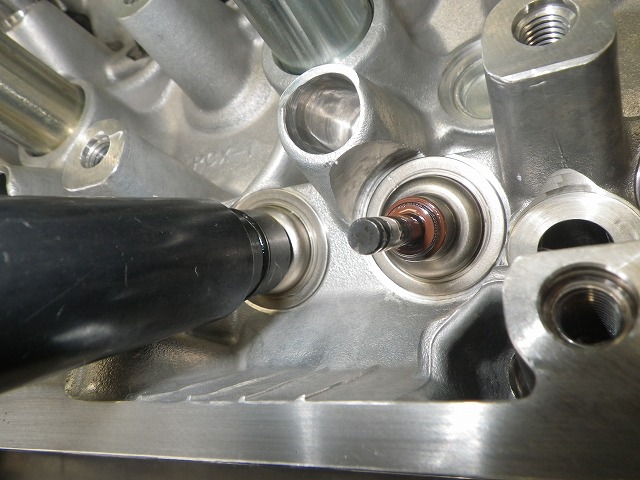 IMGP7645