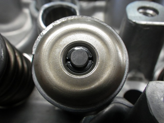 IMGP7659