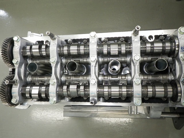 IMGP7913