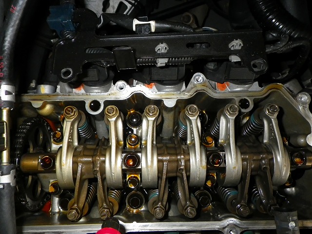 IMGP9145