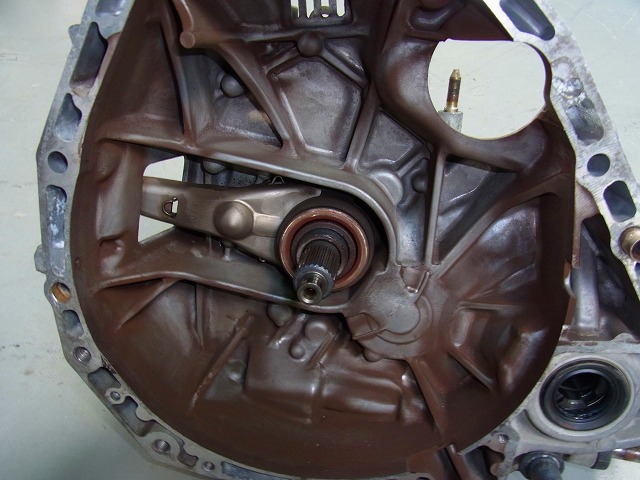 RIMG1164