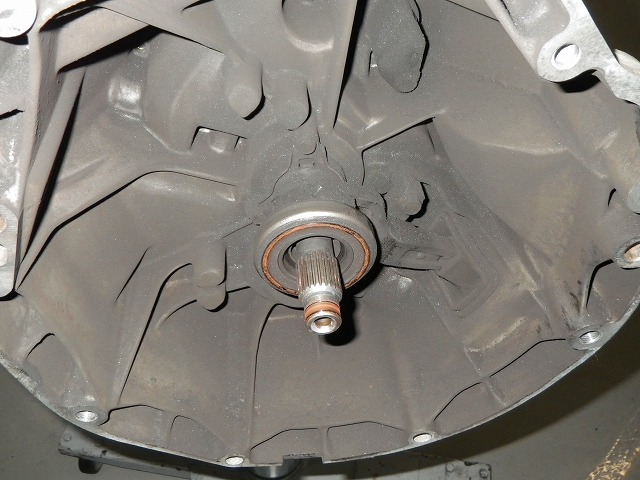 IMGP0220