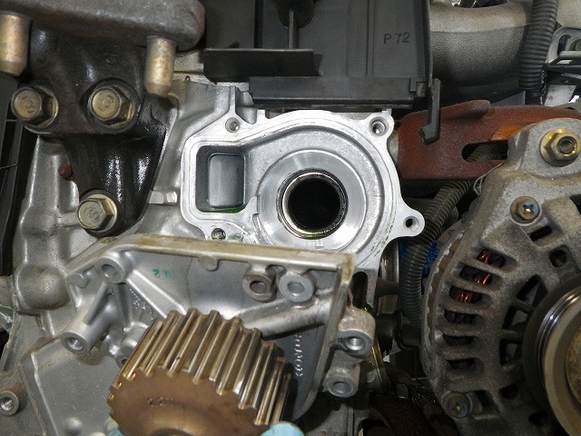 IMGP9780