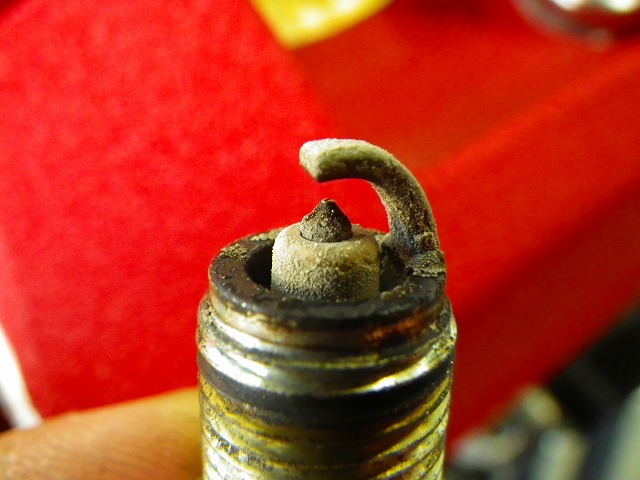 IMGP0828