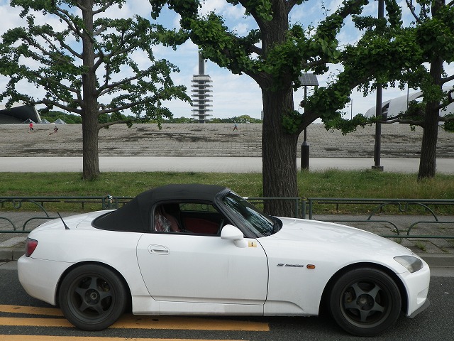 IMGP1244