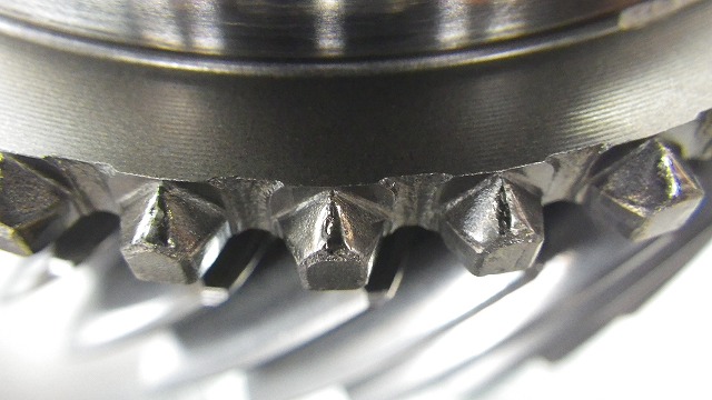 IMGP1321