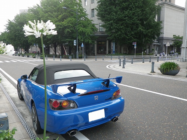 IMGP1689