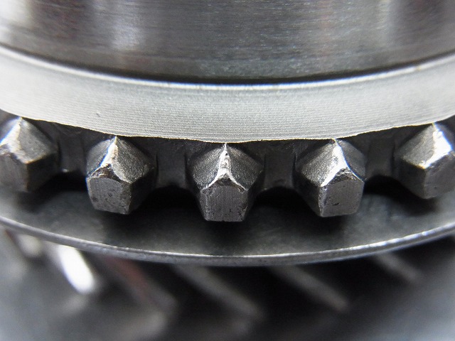 RIMG0305