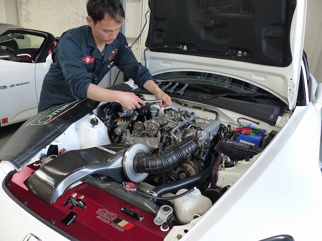 P2 (14)